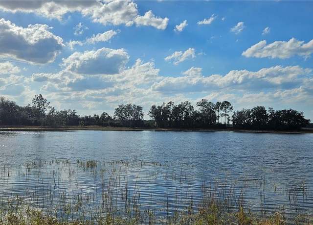 Property at Lot 4 - 12.38ac E Hwy 318, Citra, FL 32113