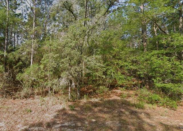 Property at 9572 N Sandree Dr, Citrus Springs, FL 34434