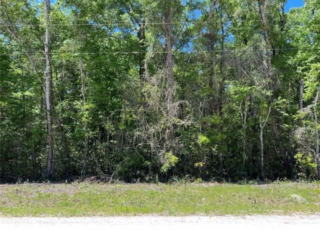 Property at TBD NE 642nd St, Old Town, FL 32680