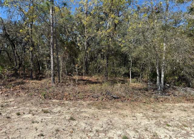 Property at 15061 Hummingbird Rd, Weeki Wachee, FL 34614