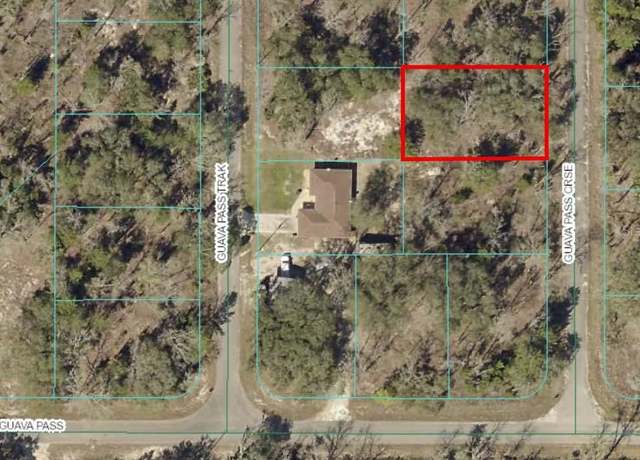Property at TBD Guava Pass Crossing Xing #5, Ocklawaha, FL 32179