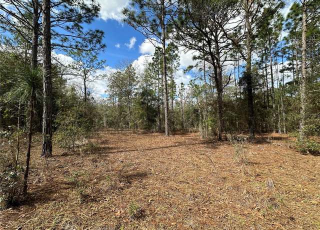 Property at 21491 SE 73rd Pl, Morriston, FL 32668