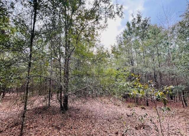 Property at NW 85th St, Bell, FL 32619