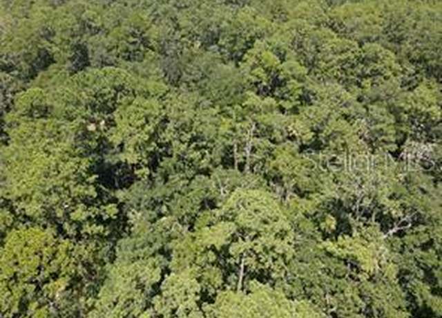 Property at Salyers Rd, Clermont, FL 34714