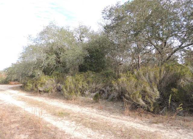 Property at 6691 NE 112th Ave, Williston, FL 32696