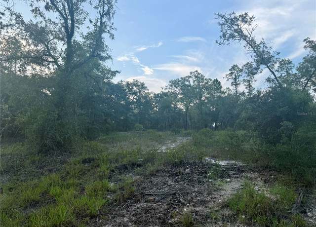 Property at 00 SW Barnacle Dr, Dunnellon, FL 34431