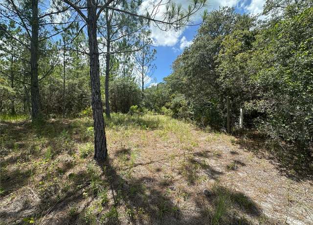 Property at 796 Fisher Rd, Ocklawaha, FL 32179