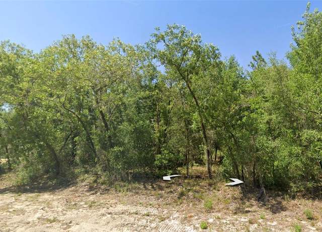 Property at Rainbow Lakes Blvd, Dunnellon, FL 34431
