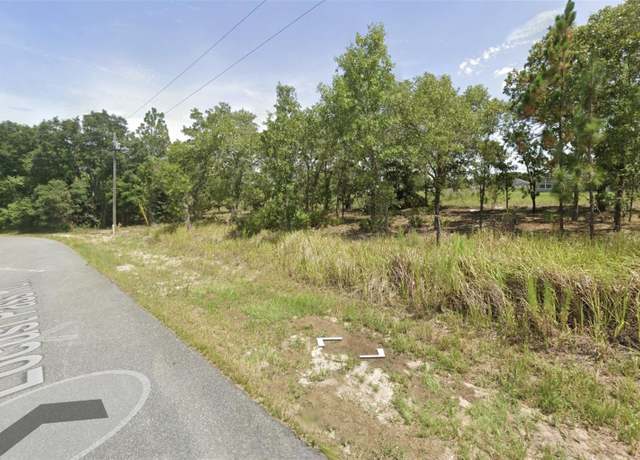Property at 0 Locust Pass Run, Ocala, FL 34472