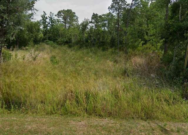 Property at 110 San Benito Way, Kissimmee, FL 34758