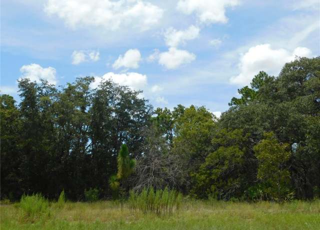 Property at 6681 N Bedstrow Blvd, Dunnellon, FL 34434