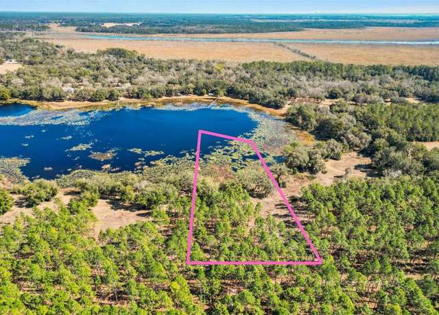 Property at TBD Hwy 42, Weirsdale, FL 32195