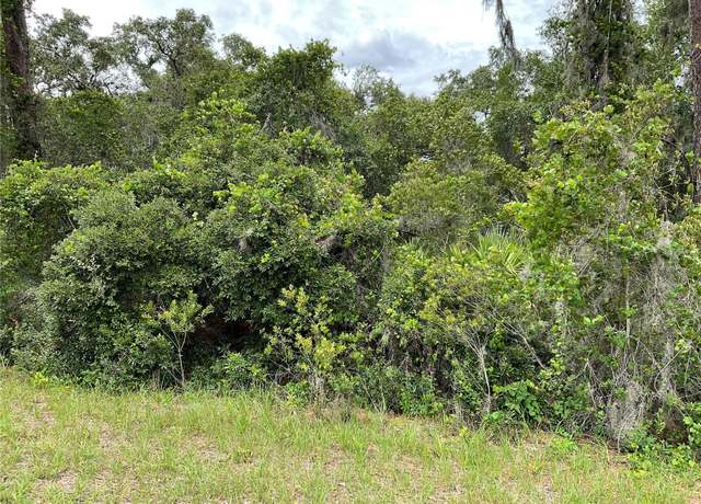 Property at TBD Lot 60 Malauka Radl, Ocklawaha, FL 32179