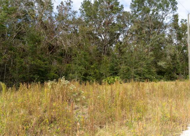 Property at NE 825th St, Old Town, FL 32680