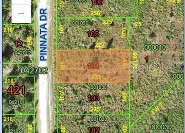 Property at 0 Pinnata, Indian Lake Estates, FL 33855