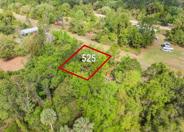 Property at 525 Gardenia Ave, Georgetown, FL 32139