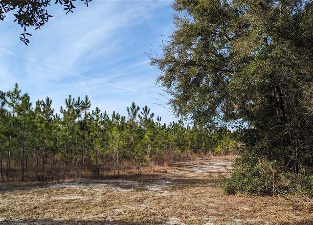 Property at 40 ac Off Dixie (ne 30th St.) Hwy, High Springs, FL 32643