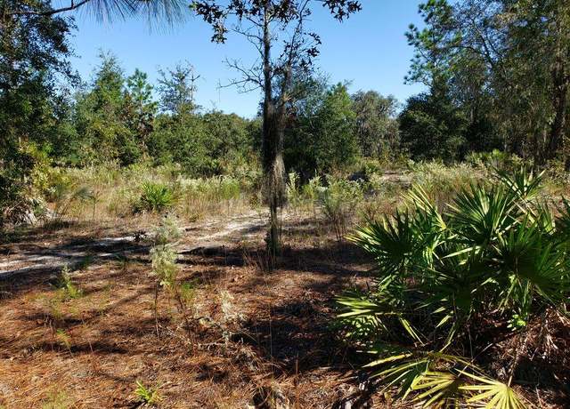 Property at XXX NE 96th St, Archer, FL 32618