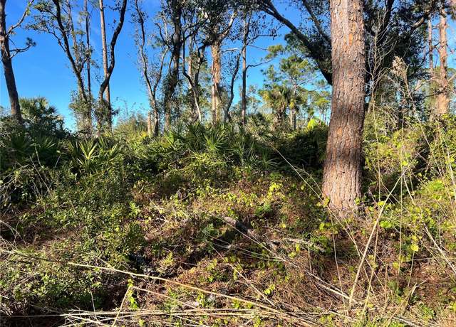Property at Lot 5 Gravelmann Rd Lot 5, North Port, FL 34291