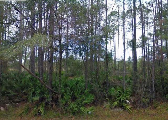 Property at NE 65th Ave, Citra, FL 32113