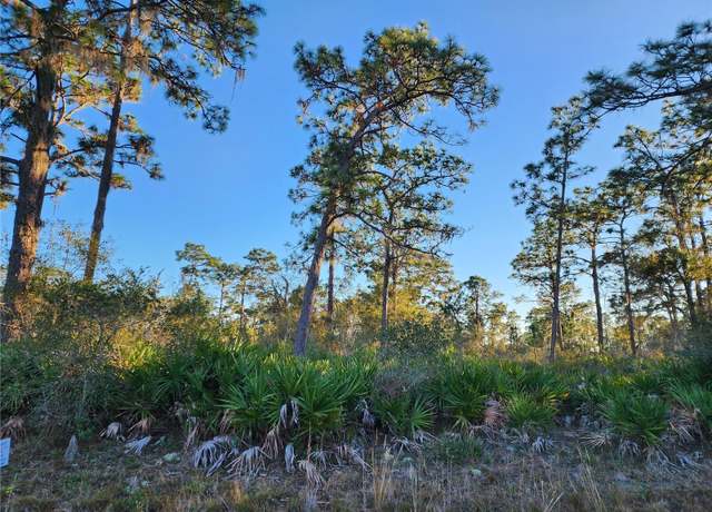 Property at Camellia Dr, Indian Lake Estates, FL 33855