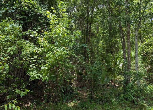 Property at Lot 7 NE Hunter Cir, Micanopy, FL 32667