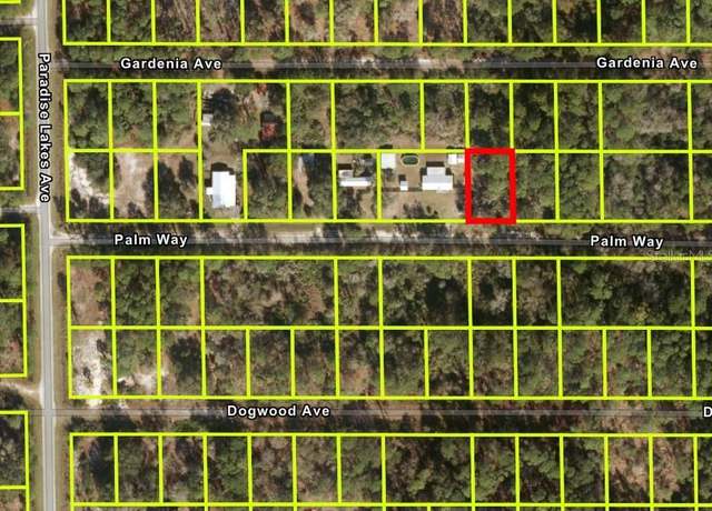 Property at 318 Palm Way, Georgetown, FL 32139