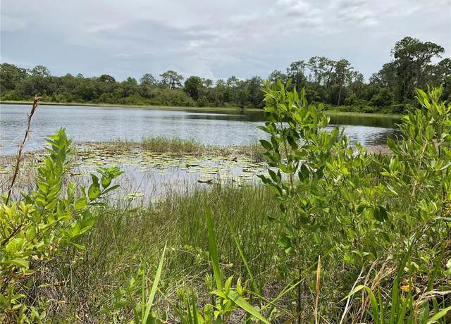 Property at TBD Lot 58 Malauka Radial Trl, Ocklawaha, FL 32179