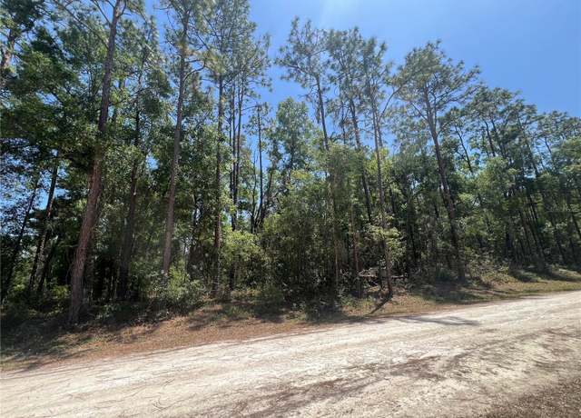 Property at Octavia Ln, Webster, FL 33597
