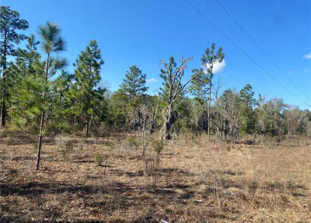 Property at 235 Michigan Dr, Hawthorne, FL 32640
