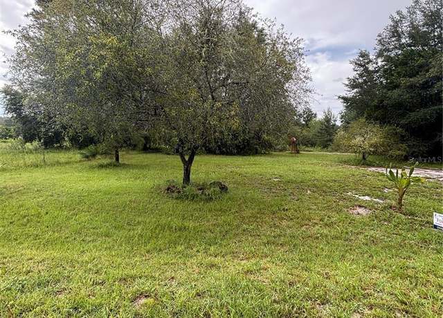 Property at 0 Sequoia Drive Trce, Ocklawaha, FL 32179