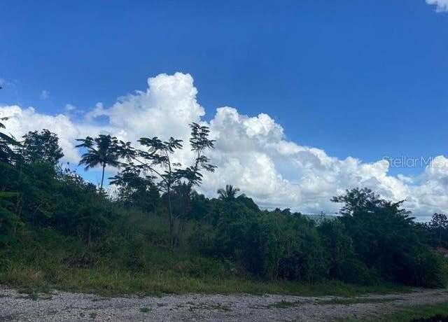 Property at 21431 SE 70 St, Morriston, FL 32668
