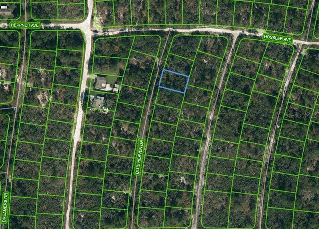 Property at 331 Blue Heaven Dr, Lake Placid, FL 33852