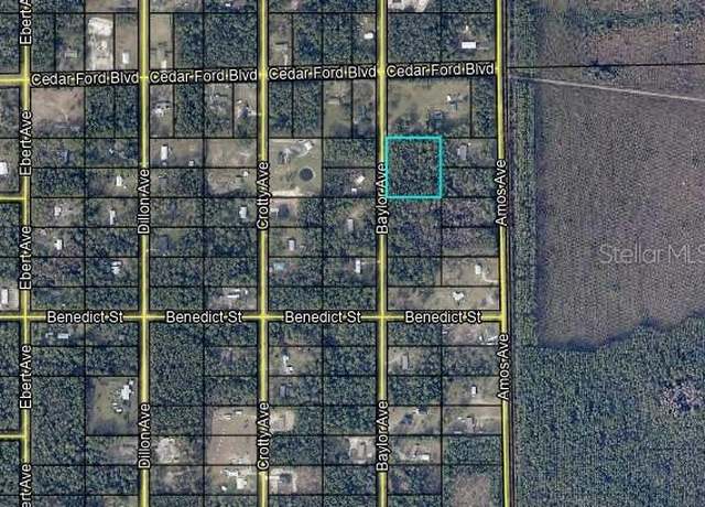 Property at 10420 Baylor Ave, Hastings, FL 32145