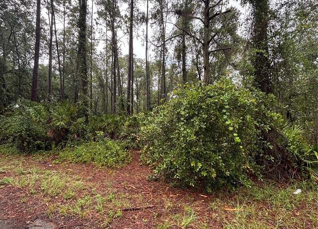 Property at 0 Sequoia Drive Trl, Ocklawaha, FL 32179