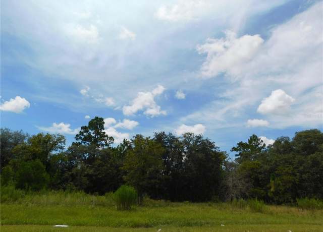 Property at 6683 N Bedstrow Blvd, Dunnellon, FL 34434