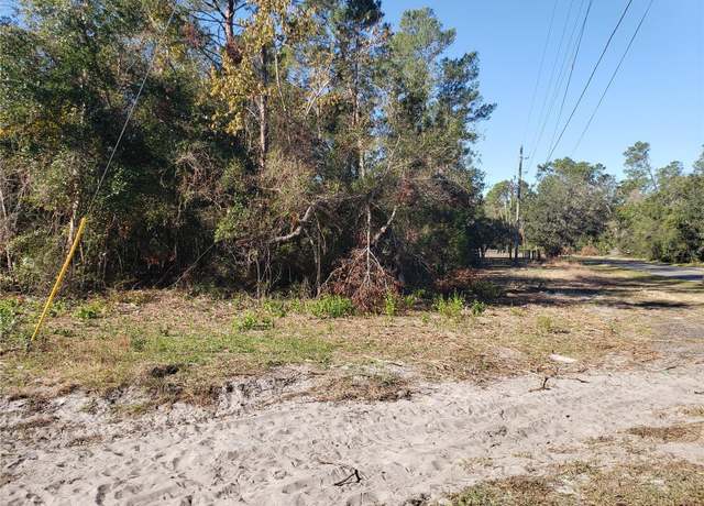 Property at Dixie Dr, Paisley, FL 32767