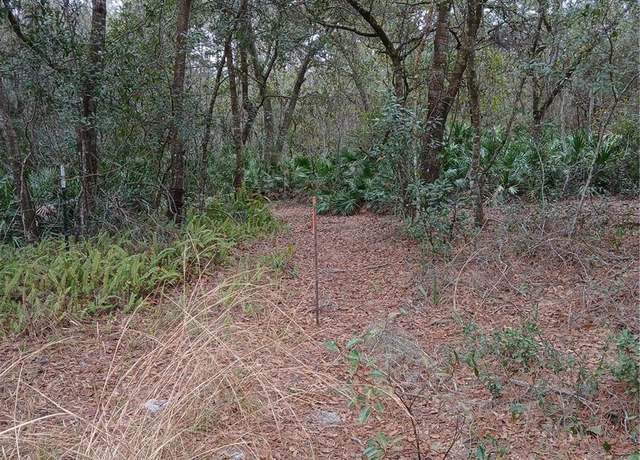 Property at NO Name, Osteen, FL 32764