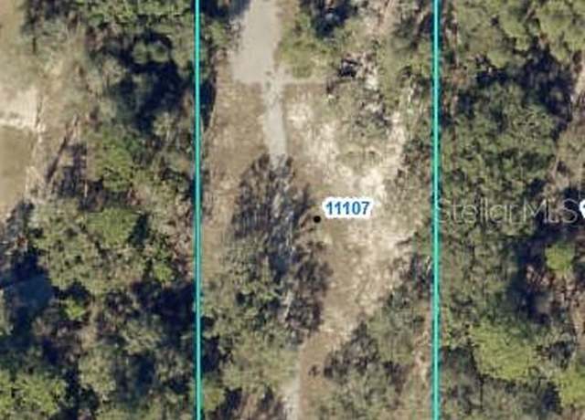 Property at 11103 Snow Lark Ave, Weeki Wachee, FL 34614