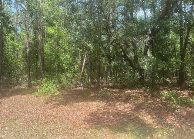 Property at 8729 N Wallingford Ave, Dunnellon, FL 34434