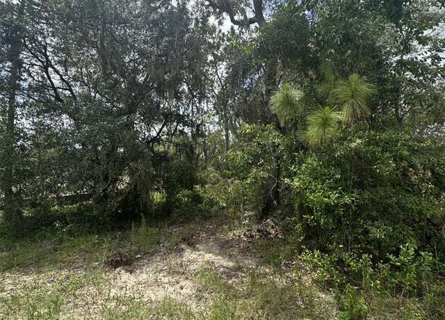 Property at 9700 N Cortlandt Dr, Citrus Springs, FL 34434