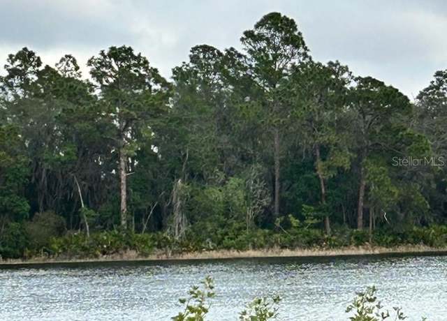 Property at TBD Malauka Radl, Ocklawaha, FL 32179