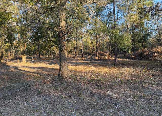 Property at Roanoke Ter, Fort White, FL 32038