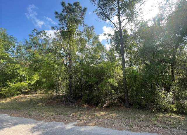 Property at TBD Sequoia Dr Lot 16, Ocklawaha, FL 32179