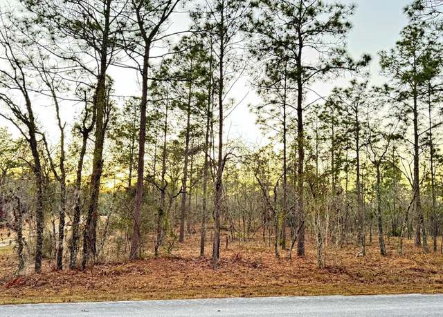 Property at 00 SE 130th, Dunnellon, FL 34431