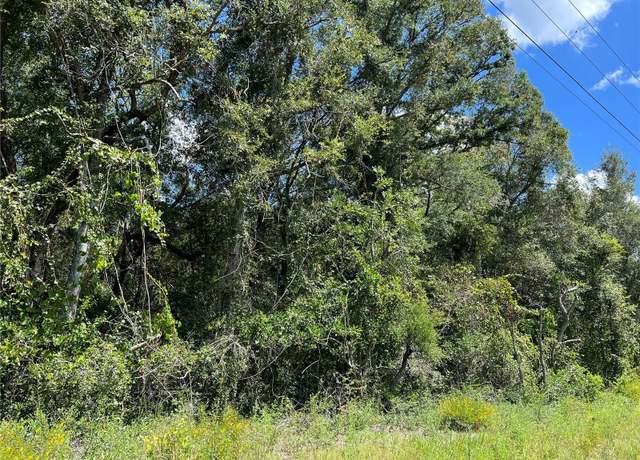 Property at US Hwy 19, Chiefland, FL 32626