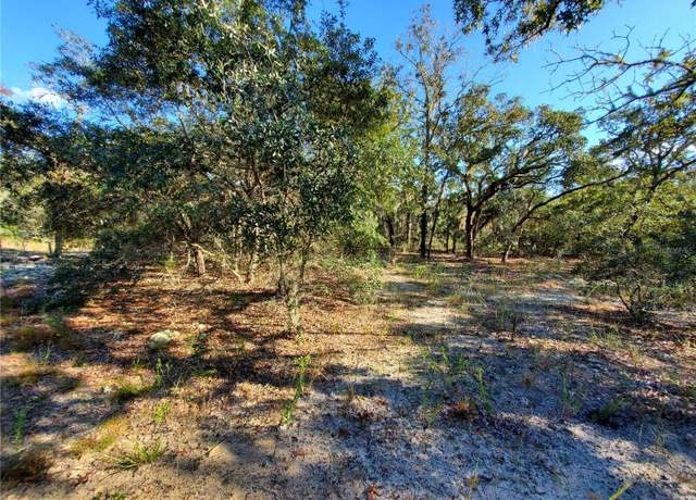 Property at Lot 4 SW Paradise Heights Rd, Dunnellon, FL 34432