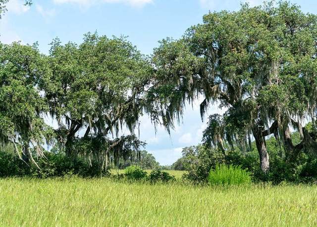 Property at Lot22,shoreline Ranch Ln, Umatilla, FL 32784