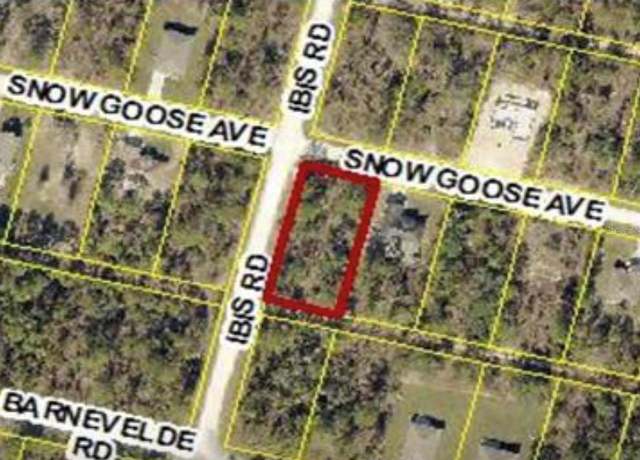 Property at 15282 Ibis Rd, Brooksville, FL 34614