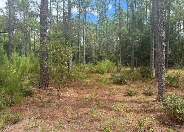 Property at 7651 NE 111th Ln, Bronson, FL 32621